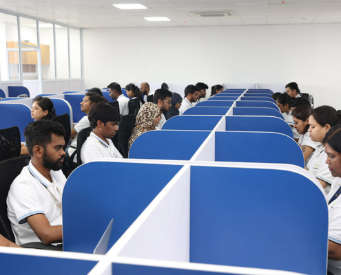 Software Development Team Collaboration